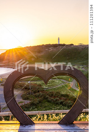 爪木崎の朝焼け　水仙の咲く絶景 111201394