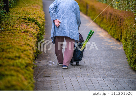 日本の横浜都市景観　高齢化社会…買い物帰り…ネギ…＝横浜市内で 111201926