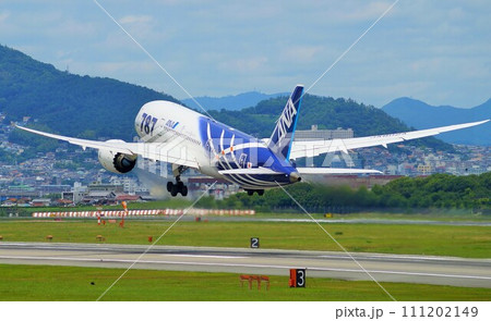 ボーイング787特別塗装機(伊丹空港にて) ボーイング787特別塗装機(伊丹空港にて) 111202149