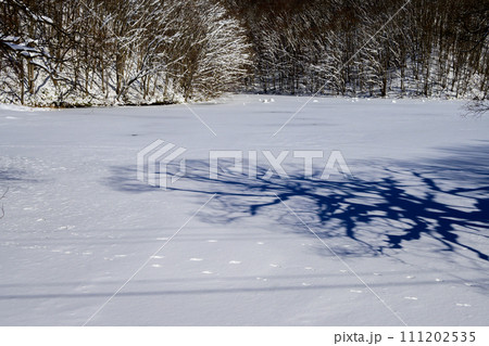雪に覆われた曲沢沼 雪に覆われた曲沢沼 111202535