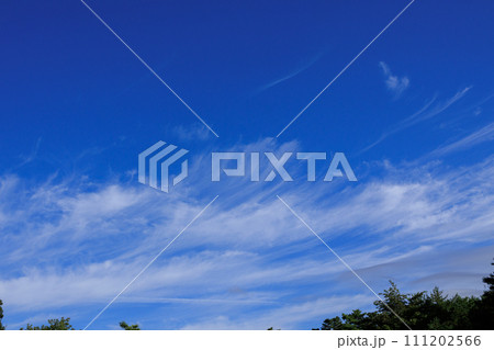 青空に白い雲 青空に白い雲 111202566
