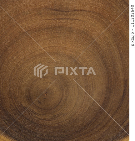 Cross section of tree trunk. Wood texture of cut tree trunk. Cross section of tree trunk. Wood texture of cut tree trunk. 111202640