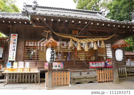 大原神社の夏詣 111203371