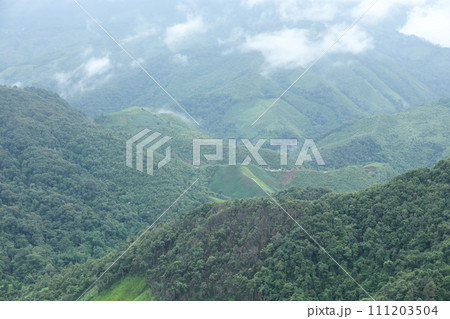 Rice terraces and corn field  on complicated hills in Nan Province, Thailand. 111203504