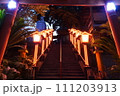 サイバー神社（中司孫太郎稲荷神社） 111203913