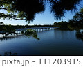 早朝の大濠公園観月橋 111203915