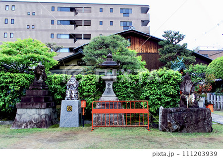 【京都】春の京都ゑびす神社　境内の恵美須様石像 111203939
