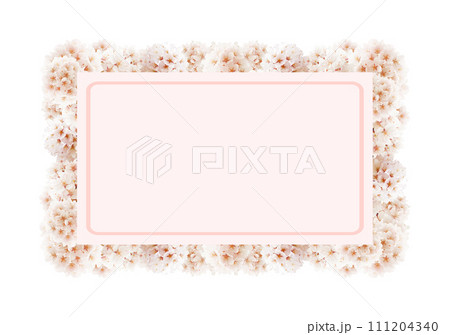 桜の花 111204340