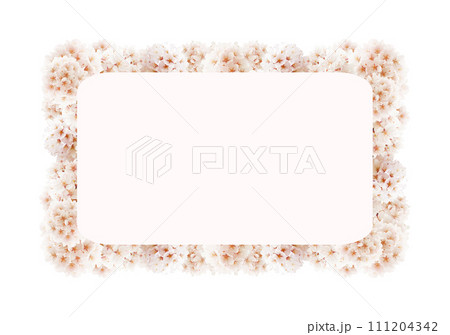 桜の花 桜の花 111204342