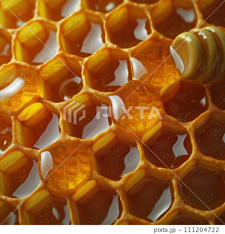 bee honeycomb with honey closeup background bee honeycomb with honey closeup background 111204722