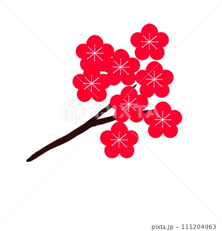梅の花 紅梅 梅 枝に咲く花 梅の花 紅梅 梅 枝に咲く花 111204963