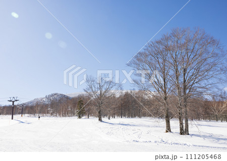 快晴の奥志賀高原スキー場の冬景色 快晴の奥志賀高原スキー場の冬景色 111205468