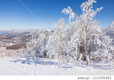 快晴の奥志賀高原スキー場の冬景色 111205483