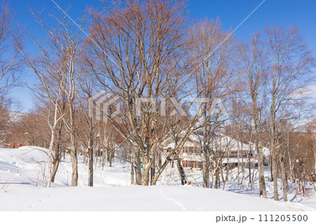 快晴の奥志賀高原スキー場の冬景色 111205500