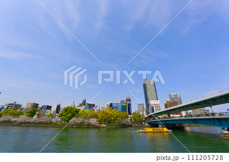 【大阪府】3月・満開の桜と大阪の街並み 111205728