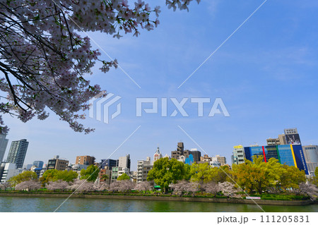 【大阪府】3月・満開の桜と大阪の街並み 【大阪府】3月・満開の桜と大阪の街並み 111205831