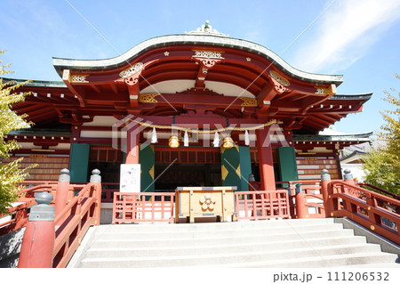 初夏の亀戸天神社 初夏の亀戸天神社 111206532