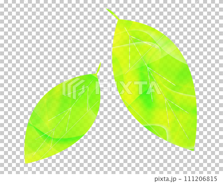 新鮮的綠色背景 綠葉的插圖 新鮮的綠色背景 綠葉的插圖 111206815