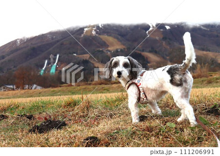 八方尾根 八方尾根 111206991