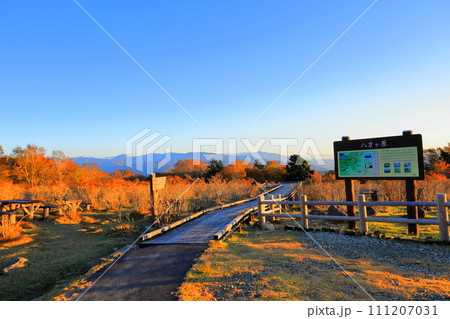 紅葉する八方ヶ原の大間々台／栃木県矢板市 111207031