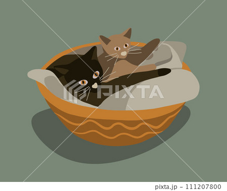 Vector isolated illustration of cats in a basket. 111207800