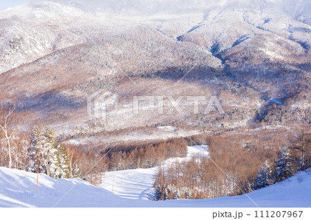 奥志賀高原スキー場の冬景色 111207967