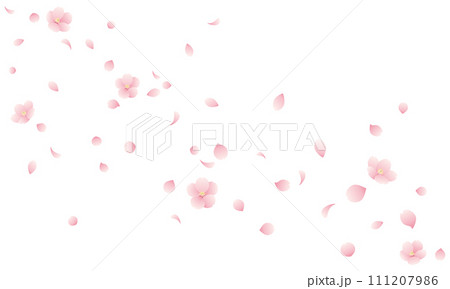 桜の花と花びらが散る桜吹雪のイラスト 111207986