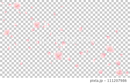 桜の花と花びらが散る桜吹雪のイラスト 111207986