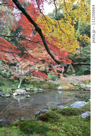 南禅院 庭園 南禅院 庭園 111208664