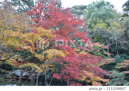 南禅院 庭園 南禅院 庭園 111208667