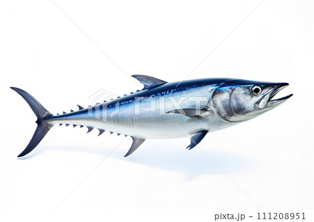 Image of a king fish isolated on white background. Fresh fish. Underwater animals. Generative AI. 111208951