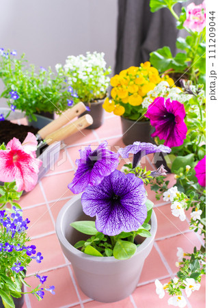 Spring decoration of a home balcony 111209044