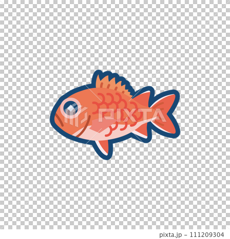 かわいいアカマツカサのイラスト	 111209304