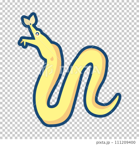 可愛的海鰻（雌性）的插圖 111209400