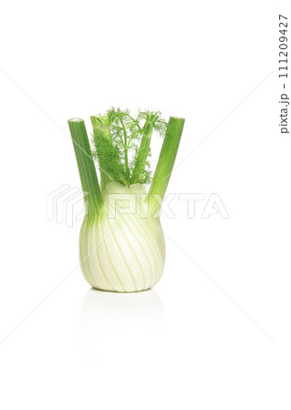 Vennel bulb isolated on a white background 111209427