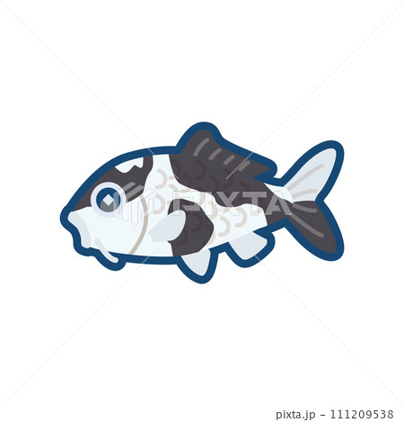 かわいいニシキゴイ（白写り）のイラスト	 111209538