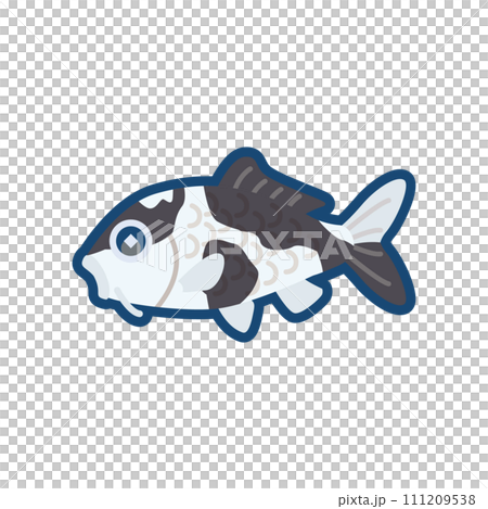 かわいいニシキゴイ（白写り）のイラスト	 111209538