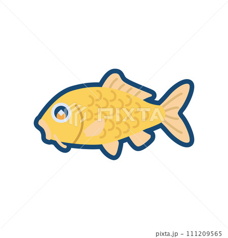 かわいいニシキゴイ（からし鯉）のイラスト	 111209565