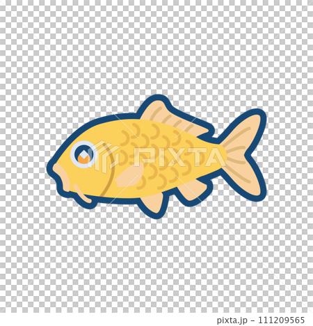 かわいいニシキゴイ（からし鯉）のイラスト	 111209565