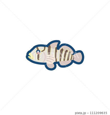 かわいいキヌバリ（日本海型）のイラスト	 111209635