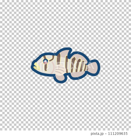かわいいキヌバリ（日本海型）のイラスト	 111209635