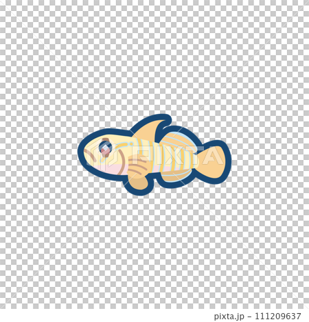 かわいいチャガラのイラスト 111209637