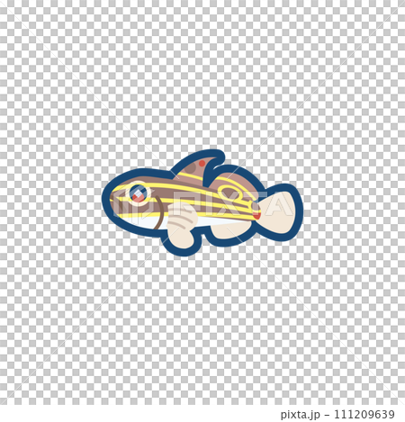 かわいいキンセンハゼのイラスト	 111209639