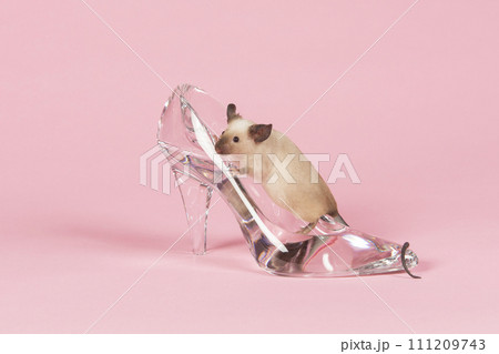 Cute little mouse on a glass slipper on a pink background 111209743