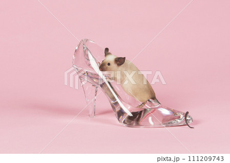 Cute little mouse on a glass slipper on a pink background Cute little mouse on a glass slipper on a pink background 111209743