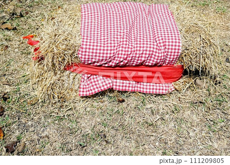 Red and white checkered tablecloth on a hay bale in the cafe. 111209805