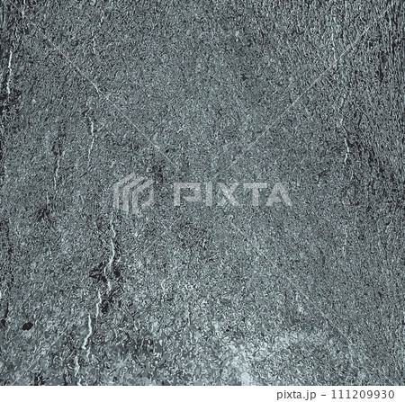 Vector illustration of Cladrastis kentukea tree bark background in sunny weather. Natural leather of nature. 111209930