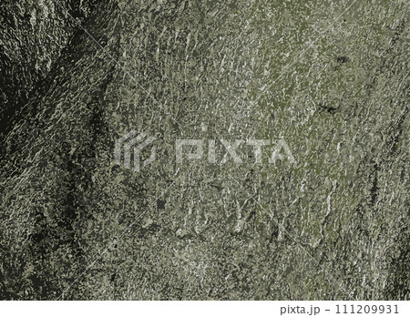 Vector illustration of Cladrastis kentukea tree bark background in sunny weather. Natural leather of nature. 111209931