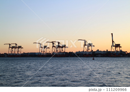 東京 夕暮れの大井コンテナ埠頭のガントリークレーン 東京 夕暮れの大井コンテナ埠頭のガントリークレーン 111209966