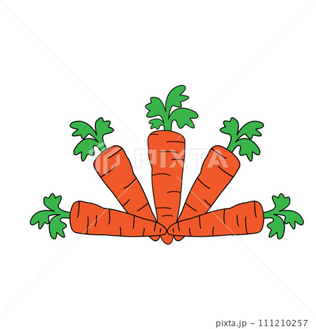 Carrot icon 111210257